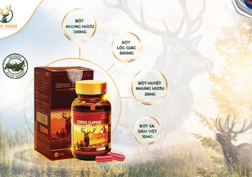 NGUỒN NGUYÊN LIỆU TỐT TRONG VIÊN NHUNG HƯƠU CERVUS ELAPHUS