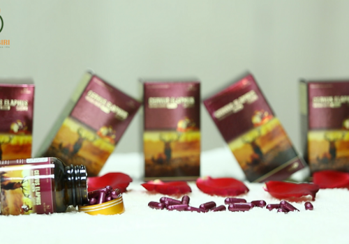 TĂNG SỨC ĐỀ KHÁNG TRƯỚC DỊCH BỆNH 