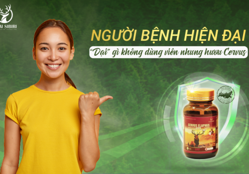 VIÊN NHUNG HƯƠU CERVUS - CÁCH CHĂM SÓC SỨC KHỎE THỜI HIỆN ĐẠI