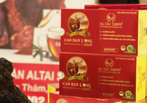 CAO BAN LONG VỚI NGƯỜI HUYẾT ÁP THẤP