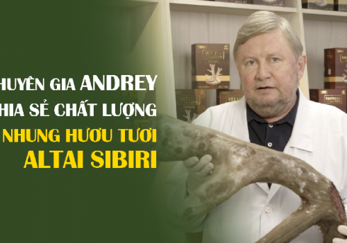 NHUNG HƯƠU TƯƠI MARAL NGA TỐT NHƯ THẾ NÀO?