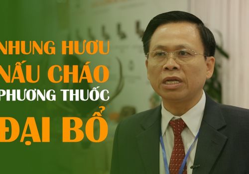 NHUNG HƯƠU NẤU CHÁO - PHƯƠNG THUỐC ĐẠI BỔ