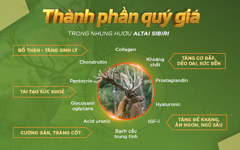 thành phần của nhung hươu
