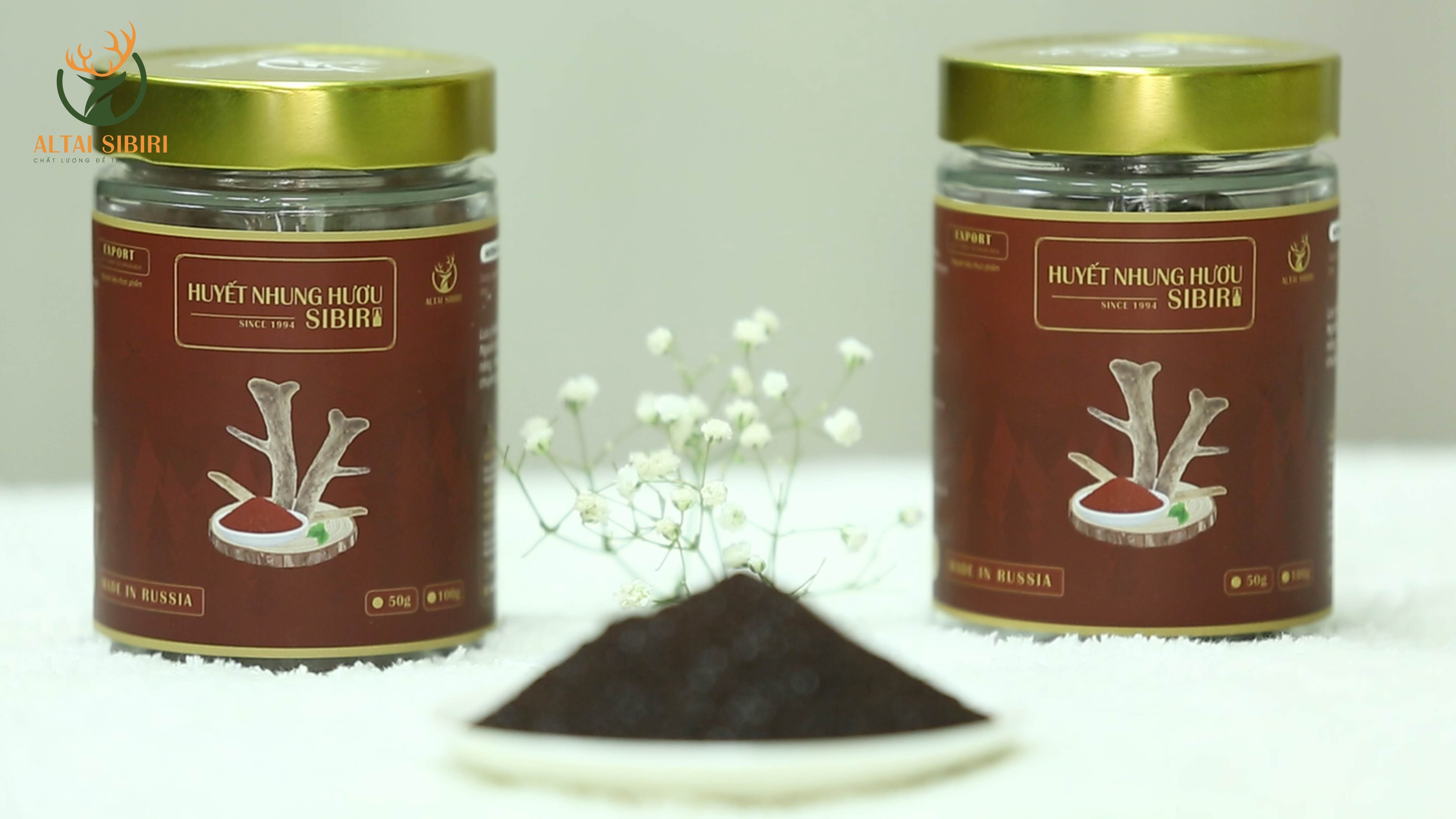 huyết nhung hươu 