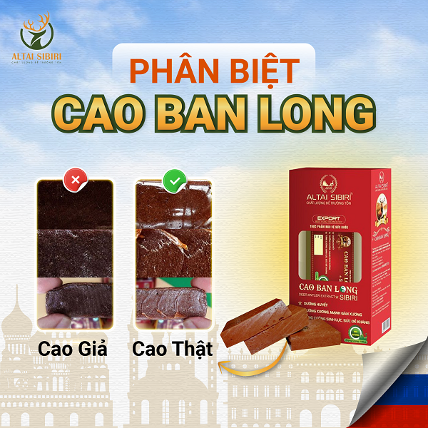 cao ban long thật giả