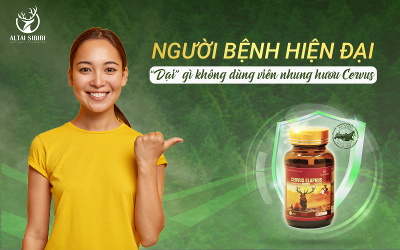 viên nhung hươu cervus
