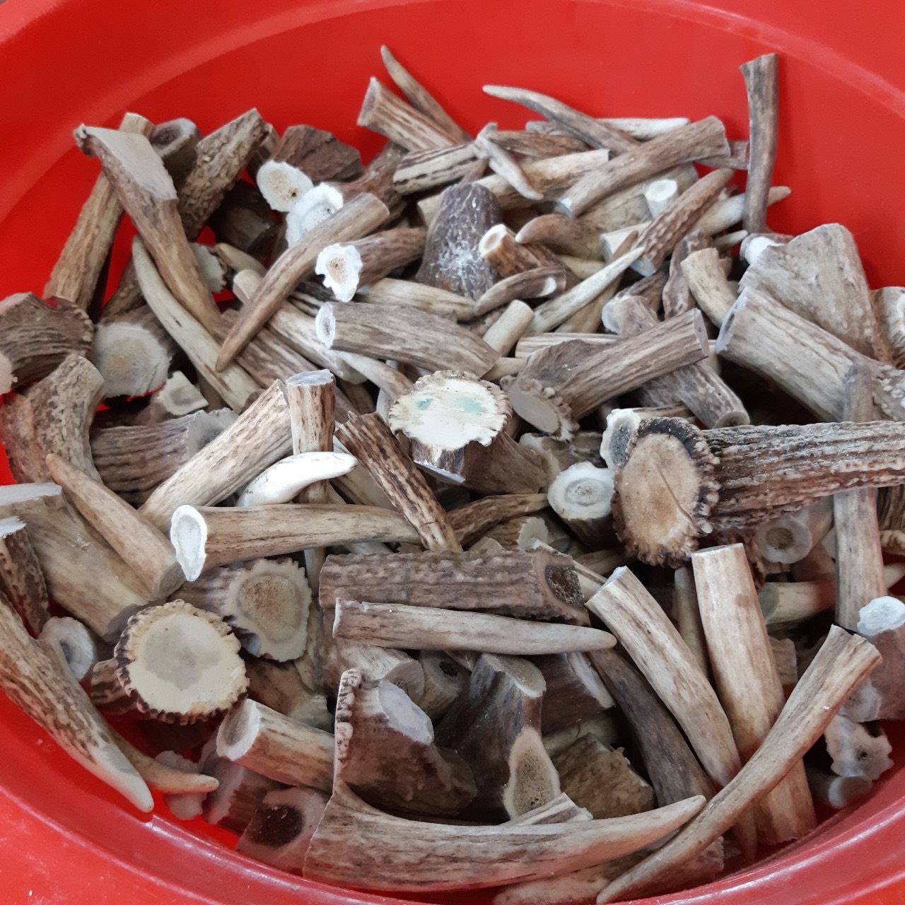 z2114963438556_2a8b39d75979f7bfe153bde546357833