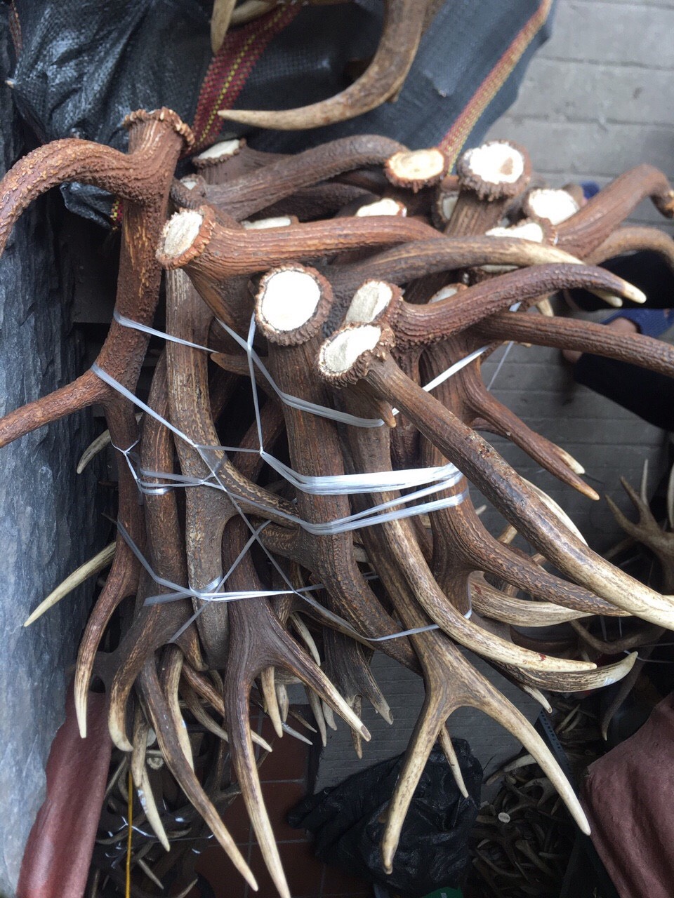 z2115509185672_887469ca02753f6b043fe0f62eedca16