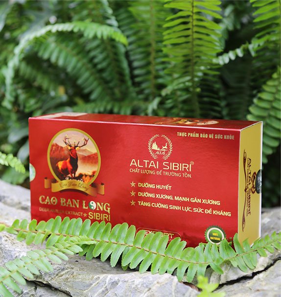 z2114953324585_40d68723848dc1df16dfcbb7fc5a04d4