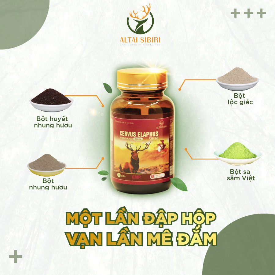 Viên Nhung Hươu Cervus Elaphus Sibiri (Hộp 30 viên)
